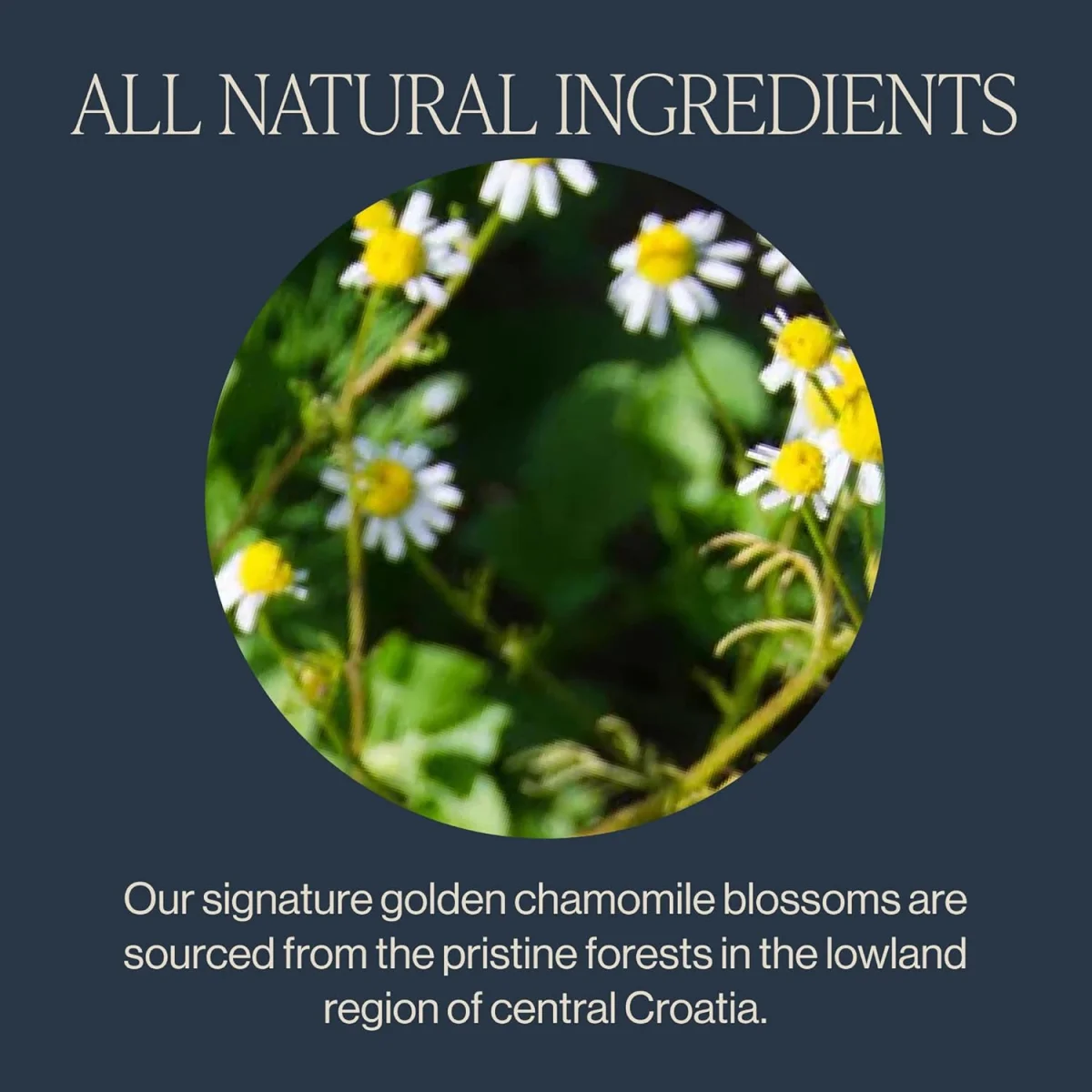 Rishi Tea Organic Chamomile Medley Botanical Blend, Caffeine Free - 15 Sachets