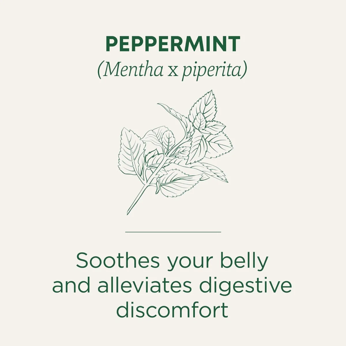 Traditional Medicinals Organic Peppermint Herbal Tea - 16 Tea Bags
