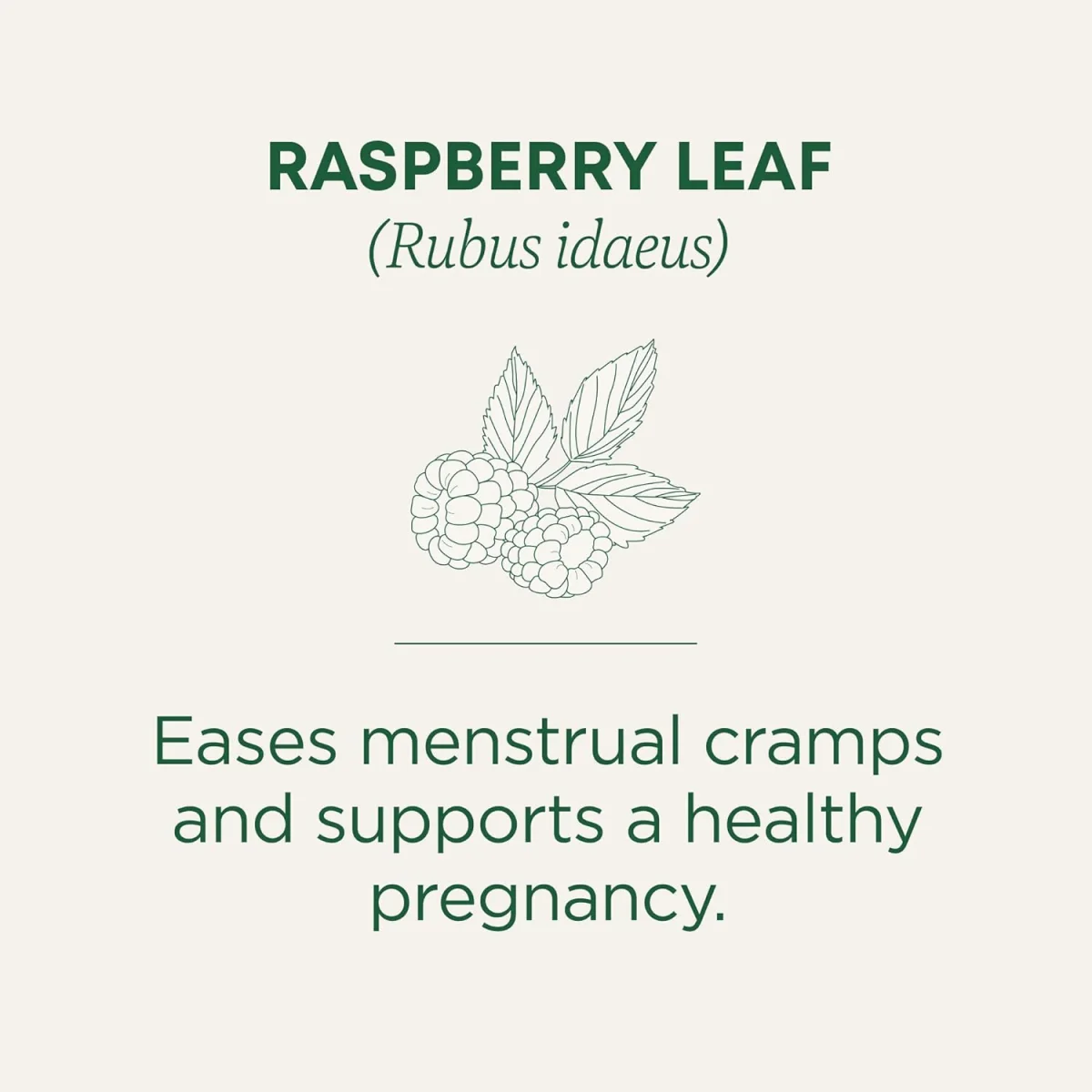 Traditional Medicinals Organic Raspberry Leaf Herbal Tea - 16 Tea Bags