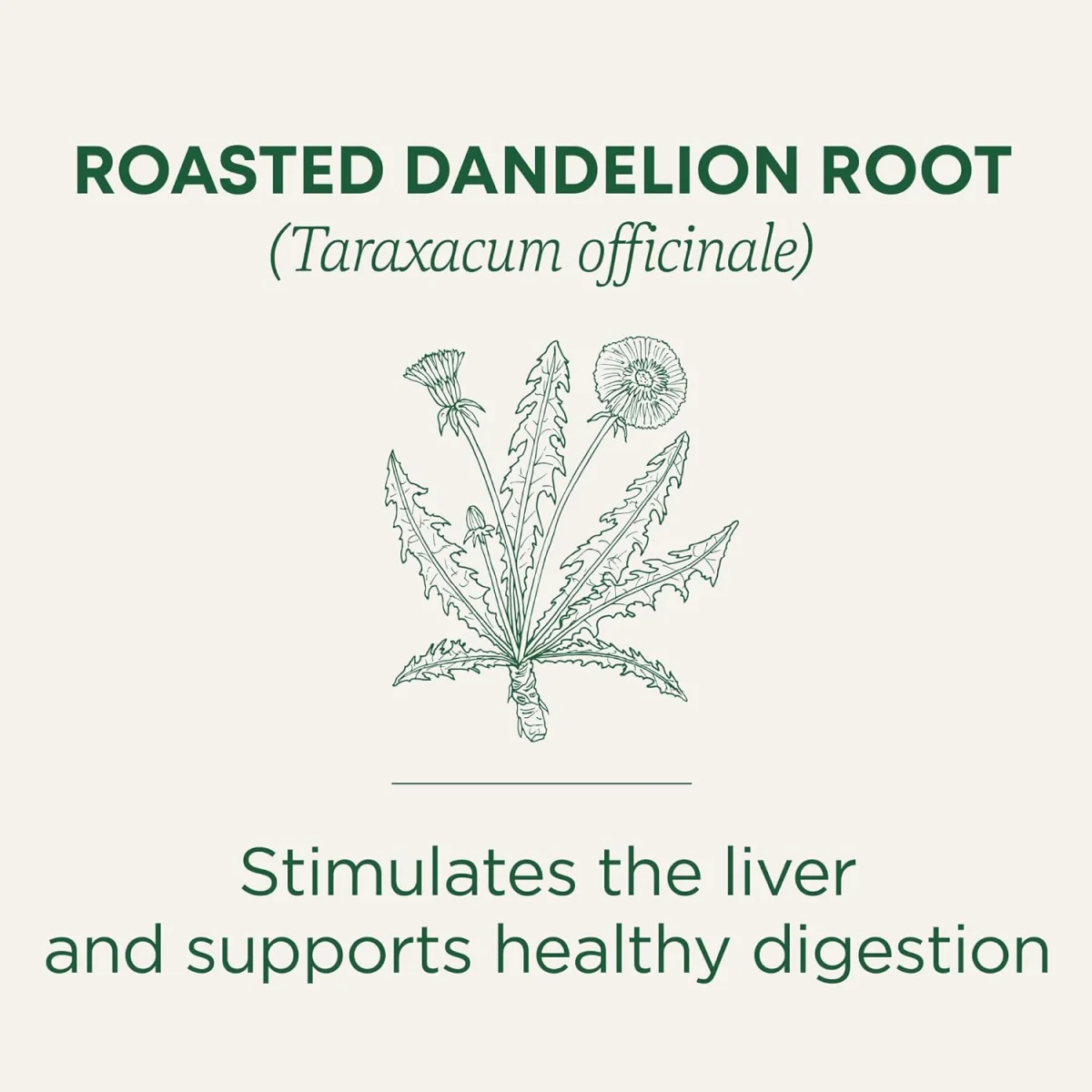 Traditional Medicinals Organic Roasted Dandelion Root Herbal Tea - 16 Tea Bags