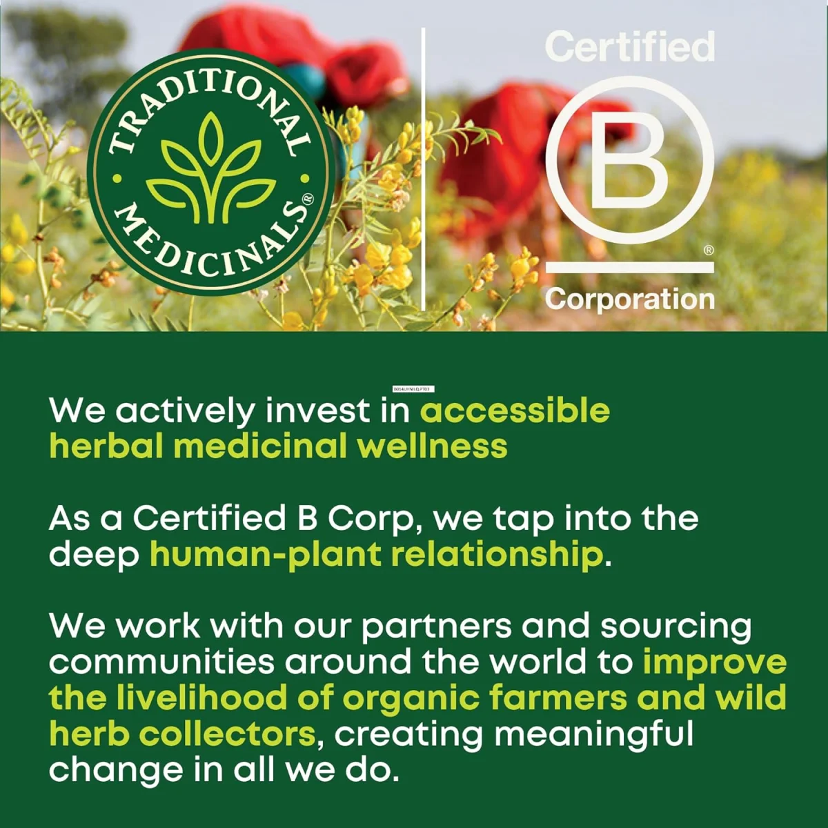 Traditional Medicinals Organic Smooth Move Chamomile Herbal Tea - 16 Tea Bags