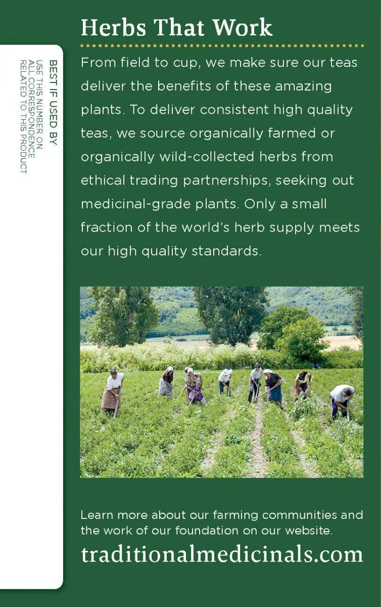 Traditional Medicinals Organic Turmeric & Ginger Herbal Tea - 16 Tea Bags