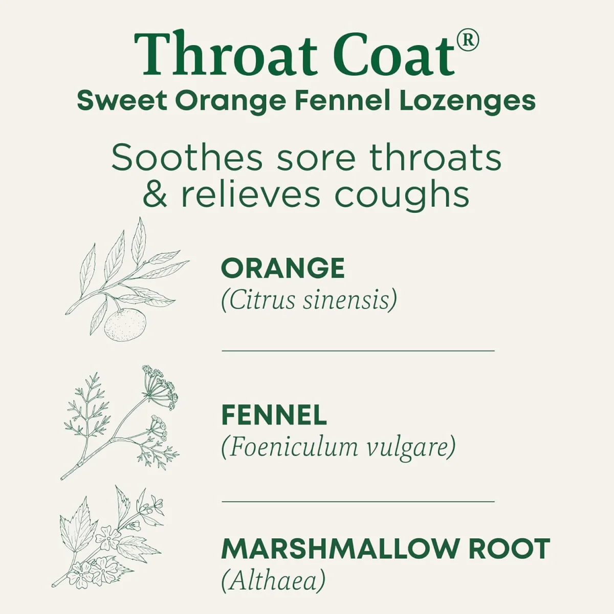 Traditional Medicinals Organic Throat Coat Lozenges, Sweet Orange Fennel