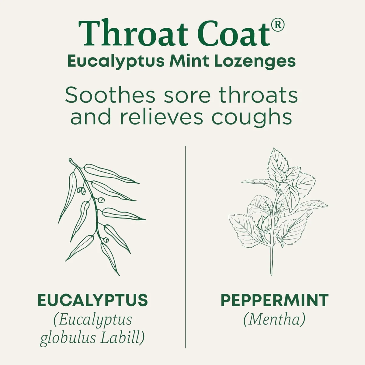 Traditional Medicinals Organic Throat Coat Lozenges, Eucalyptus Mint