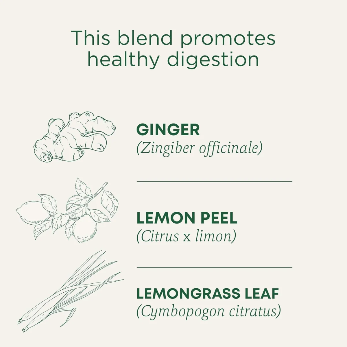 Traditional Medicinals Organic Lemon Ginger Herbal Tea - 16 Tea Bags