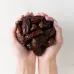 United With Earth Organic Medjool Dates - 1 lb - Image 4