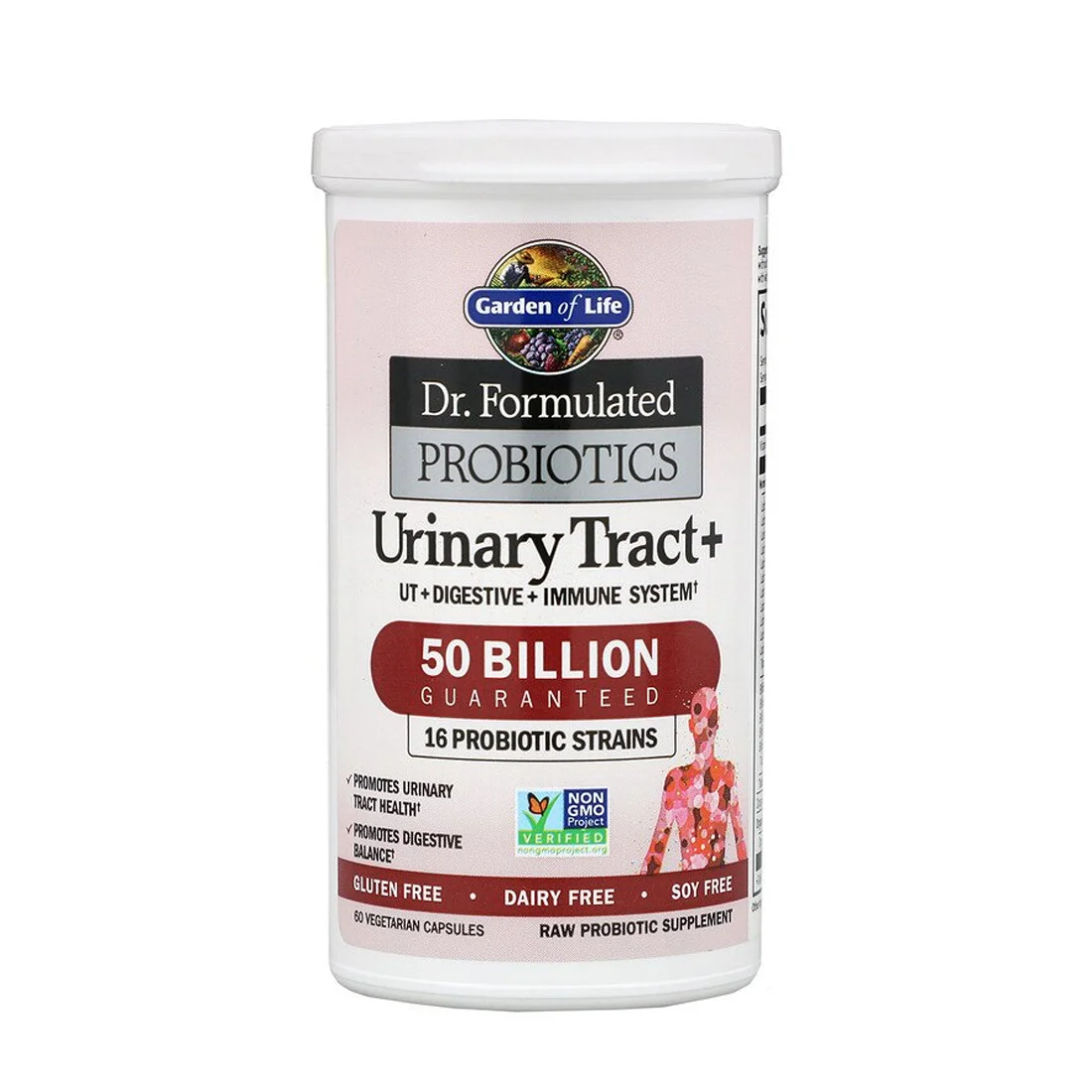 Garden of Life Dr. Formulated Probiotics Urinary Tract plus - 50 billion - 60 Vegetarian Capsules