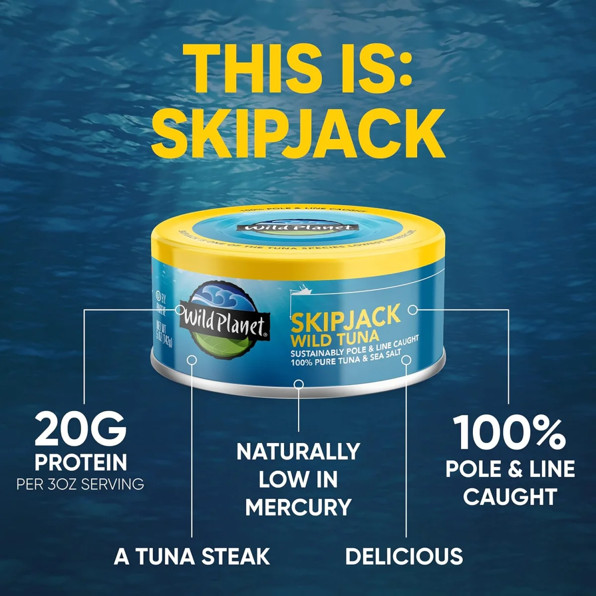 Wild Planet Skipjack Wild Tuna - 5 oz
