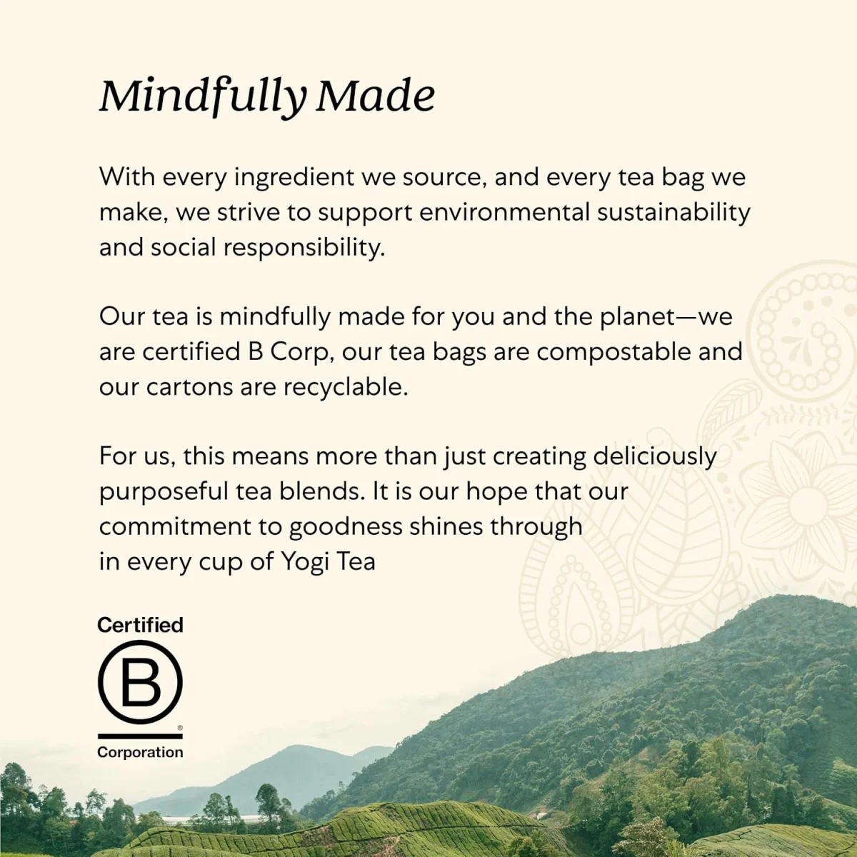 Yogi Tea Organic Kombucha Green Tea - 16 Tea Bags