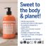 Dr. Bronner's Organic 4-in-1 Pump Soap Sugar Tea Tree - 24 fl oz