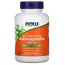 NOW Standardized Extract Ashwagandha - 450 mg - 180 Veg Capsules
