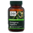 Gaia Herbs Immune Support™ Astragalus Supreme - 60 Vegan Liquid Phyto-Caps