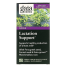 Gaia Herbs Lactation Support - 60 Vegan Capsules