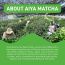 Aiya Matcha To Go Single Serve Packs, Ceremonial Grade Pure Matcha Green Tea