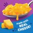 Annie's Classic Macaroni & Mild Cheddar Macaroni & Cheese - 6 oz