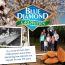 Blue Diamond Almond Nut-Thins, Hint of Sea Salt - 4.25 oz