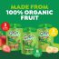 GoGo squeeZ Organic Applesauce and Fruit Puree