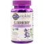 Garden of Life Organics Elderberry Immune Gummy - 120 Gummies