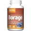 Jarrow Formulas Borage GLA-240 1,200 mg 60 Softgels