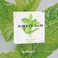 Simply Chewing Gum, Spearmint - 15 Pieces