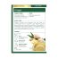 Traditional Medicinals Organic Ginger Herbal Tea - 16 Tea Bags