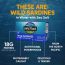 Wild Planet Wild Sardines in Water with Sea Salt - 4.4 oz