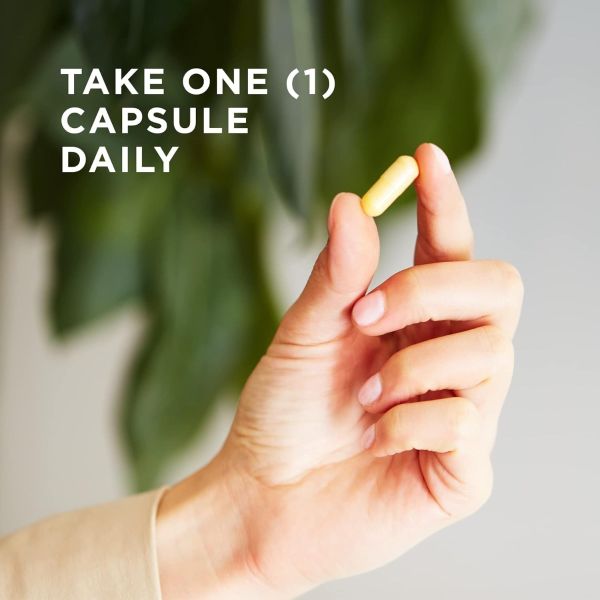 Solgar B-Complex "100" 50 Vegetable Capsules