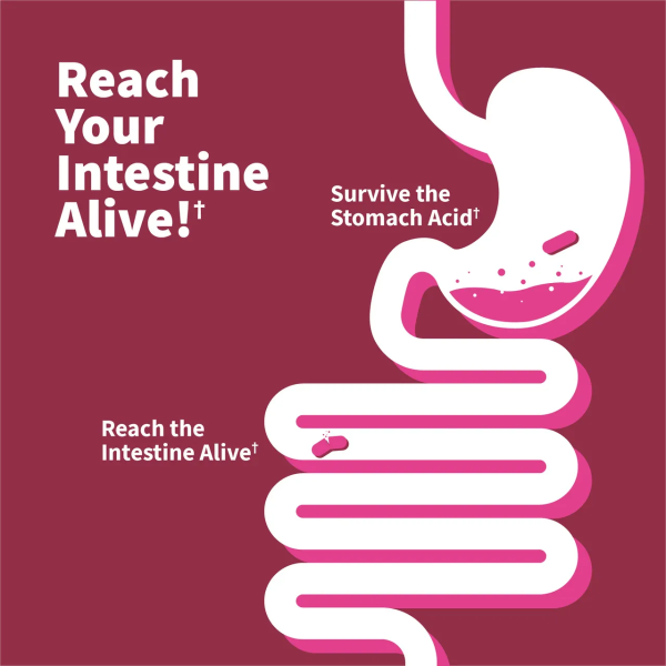 Garden of Life Dr. Formulated Probiotics Women's pH Pre + Pro + Postbiotics - 50 billion - 30 Vegetarian Capsules