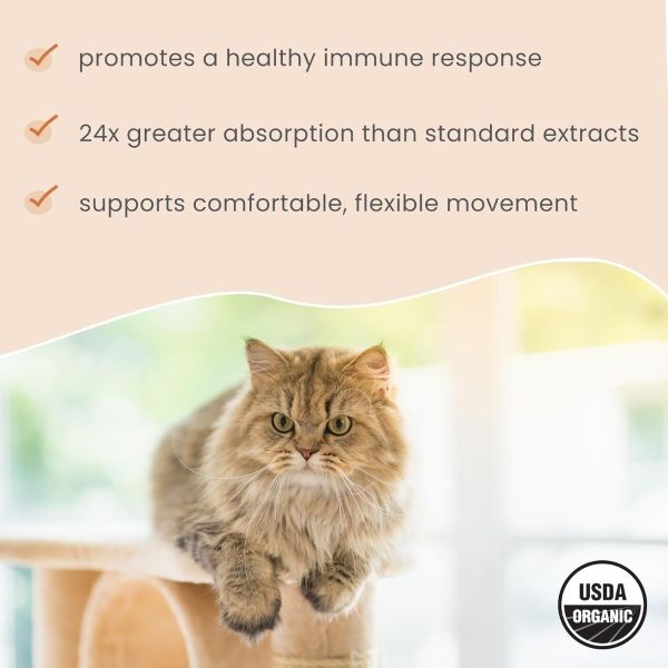 Dr. Mercola, Organic Curcumin Extract, For Cats & Dogs, 2.64 oz (75 g)