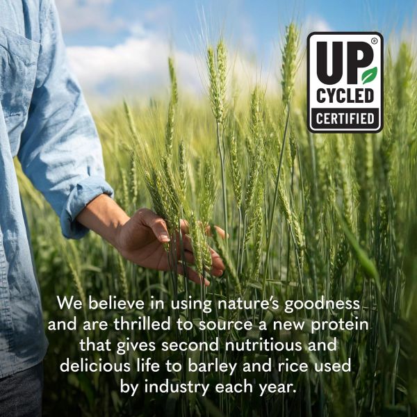 Garden of Life, Plant‑Based Sprouted Barley Protein + Probiotics, Chocolate, 1 lb 4 oz (564 g)