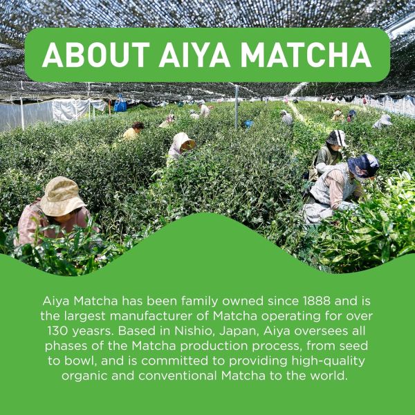 Aiya Matcha To Go Single Serve Packs, Ceremonial Grade Pure Matcha Green Tea