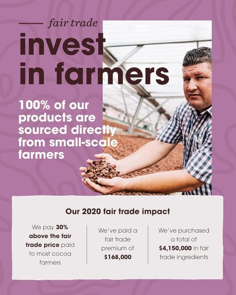 Alter Eco Organic No Added Sugar Granola, Dark Chocolate - 8 oz