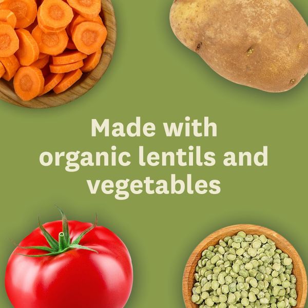 Amy's Organic Soup, Light in Sodium Lentil Vegetable - 14.5 fl oz