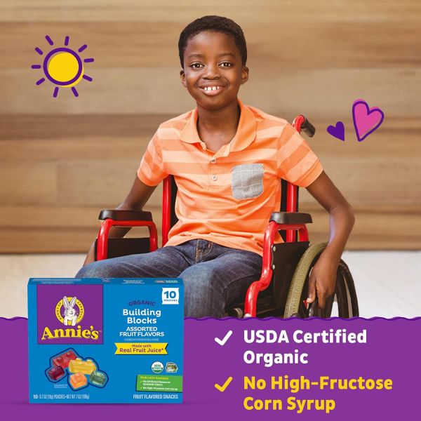 Annie's Organic Building Blocks Fruit Flavored Snacks