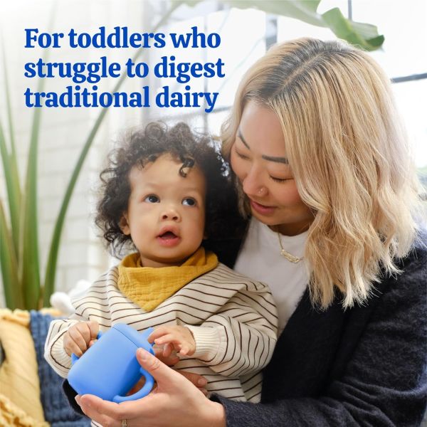 Baby's Only Organic Toddler Drink, Plant Based Pea Protein Powder - 12.7 oz