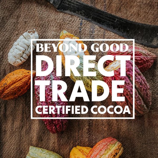 Beyond Good Organic 70% Madagascar Dark Chocolate Bar - 2.64 oz