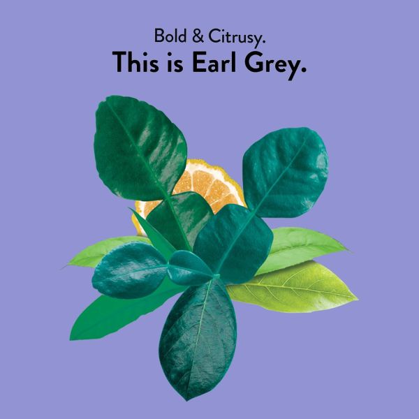 Choice Organics Earl Grey Black Tea - 16 Tea Bags