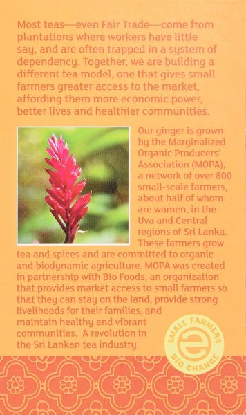 Equal Exchange Organic Ginger Herbal Tea, Caffeine Free - 20 Tea Bags