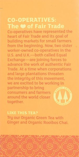 Equal Exchange Organic Ginger Herbal Tea, Caffeine Free - 20 Tea Bags