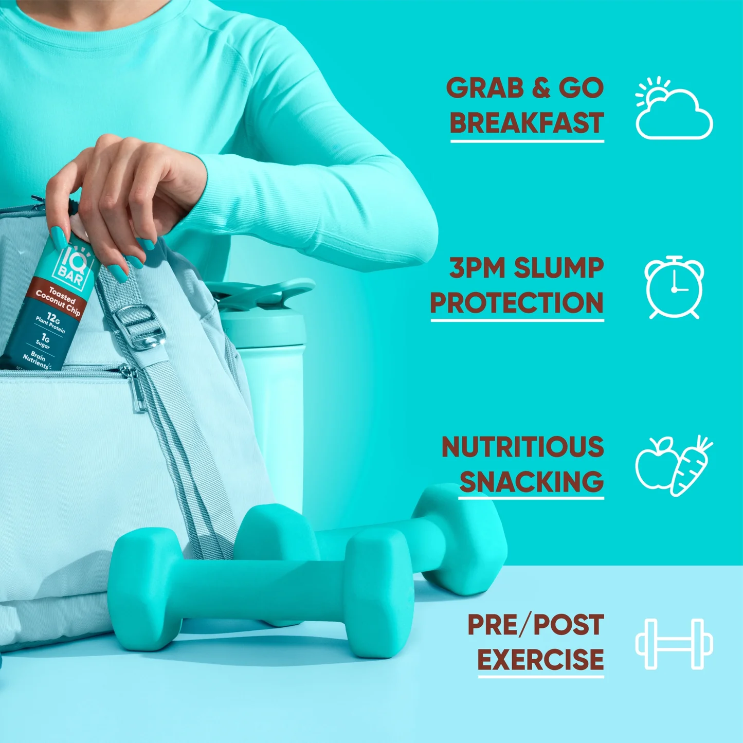 IQBAR Toasted Coconut Chip Protein Bar 