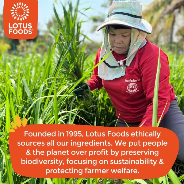 Lotus Foods Organic Millet & Brown Rice Ramen Noodles - 10 oz