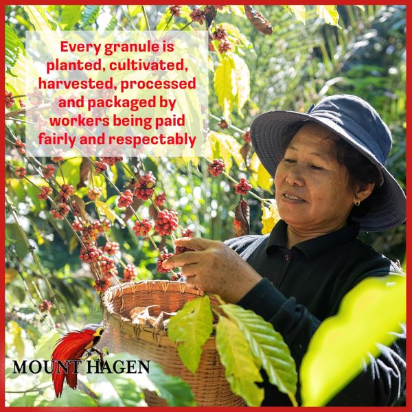 Mount Hagen Organic Fairtrade Decaffeinated Instant Coffee - 3.53 oz