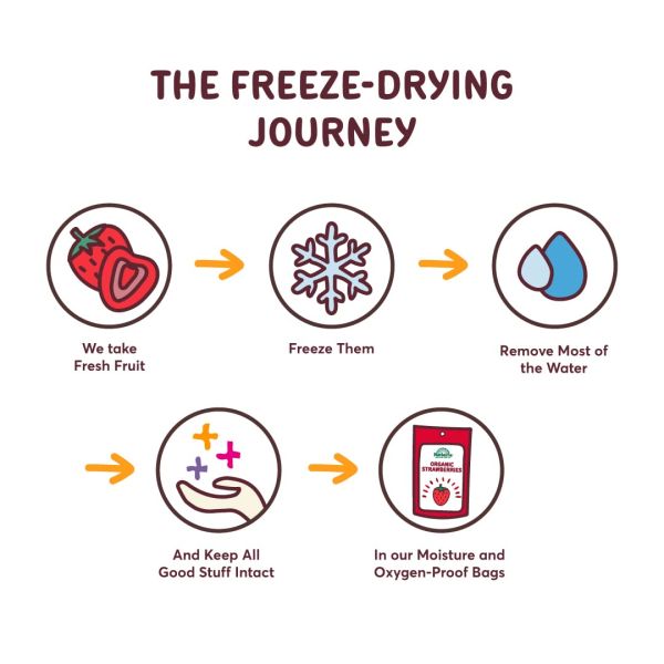 Natierra Organic Freeze Dried Pineapple - 1.5 oz