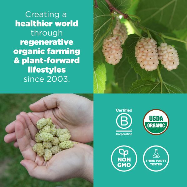 Navitas Organics Mulberries - 8 oz