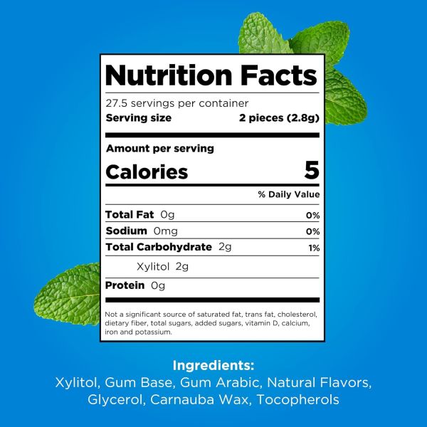 Pur Company Sugar Free Peppermint Gum - 55 Pieces