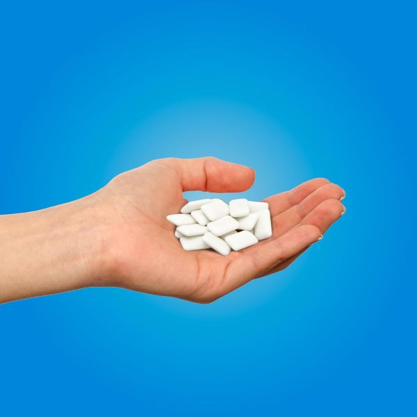 Pur Company Sugar Free Peppermint Gum - 55 Pieces