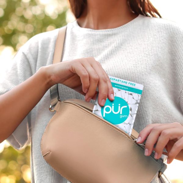 Pur Company Sugar Free Wintergreen Gum - 55 Pieces