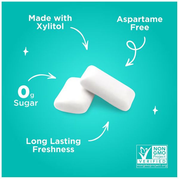 PUR Gum Wintergreen Chewing Gum - 9 Pieces