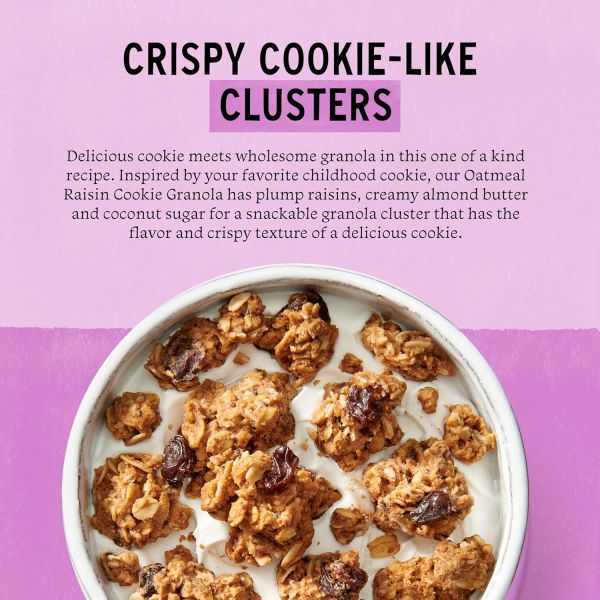 Purely Elizabeth Gluten Free Vegan Cookie Granola, Oatmeal Raisin - 11 oz