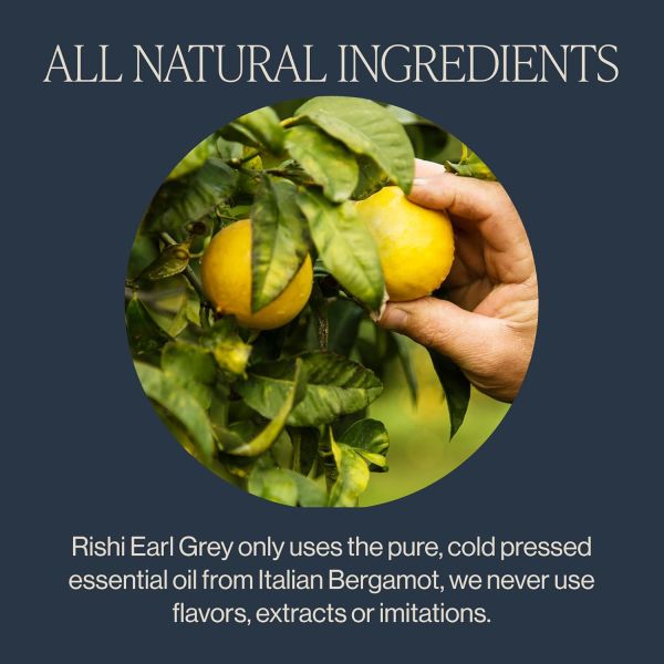 Rishi Tea Organic Earl Grey Black Tea - 15 Sachets